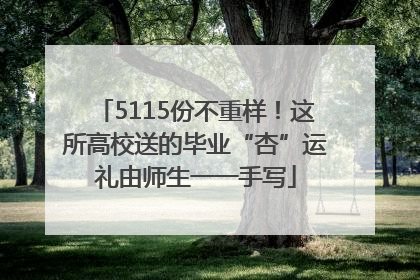 5115份不重样！这所高校送的毕业“杏”运礼由师生一一手写