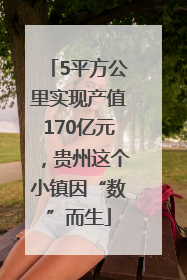 5平方公里实现产值170亿元，贵州这个小镇因“数”而生