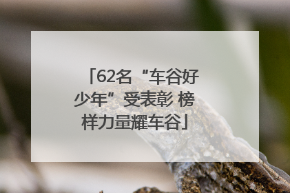 62名“车谷好少年”受表彰 榜样力量耀车谷