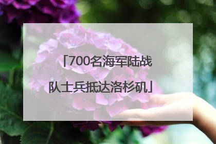700名海军陆战队士兵抵达洛杉矶