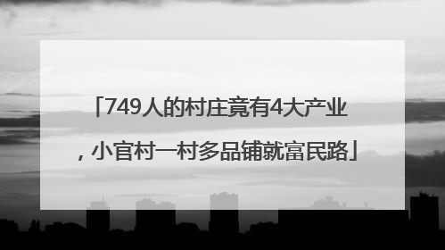 749人的村庄竟有4大产业，小官村一村多品铺就富民路