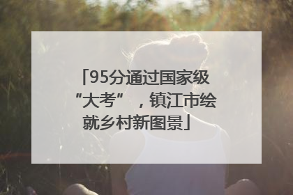 95分通过国家级“大考”，镇江市绘就乡村新图景
