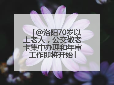 @洛阳70岁以上老人，公交敬老卡集中办理和年审工作即将开始