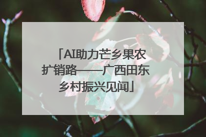 AI助力芒乡果农扩销路——广西田东乡村振兴见闻