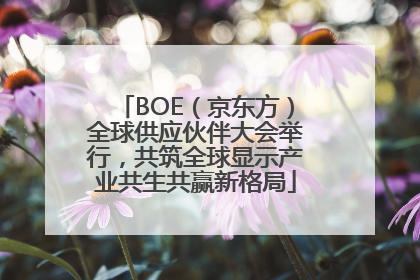 BOE（京东方）全球供应伙伴大会举行，共筑全球显示产业共生共赢新格局